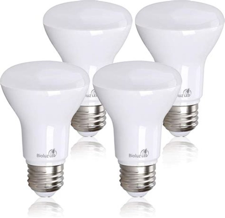 What is an r20 light bulb