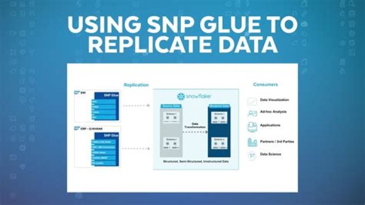 What is an SNP identifier