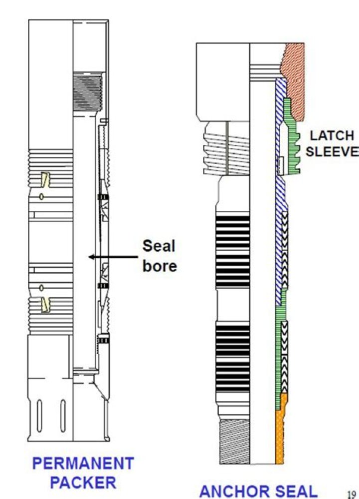 What is Anchorseal used for