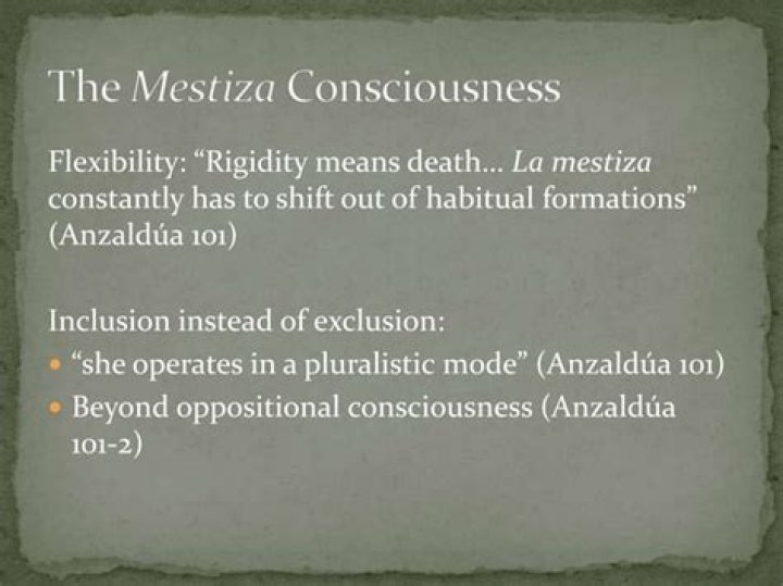 What is anzaldua mestiza consciousness