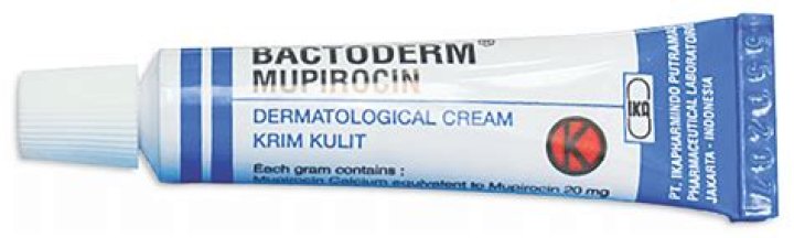 What is Bactoderm