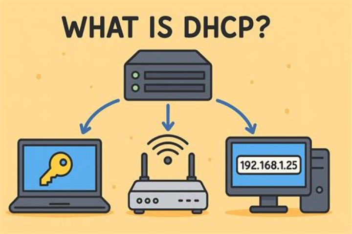 What is bad address in DHCP