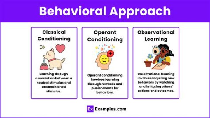 What is behaviourist paradigm
