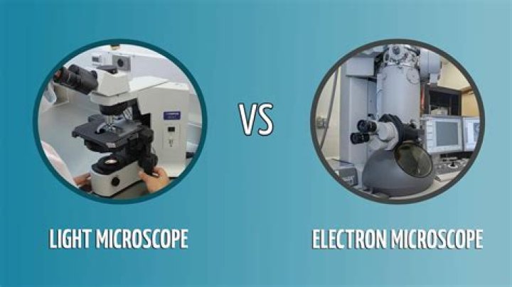 What is better electron or light microscope