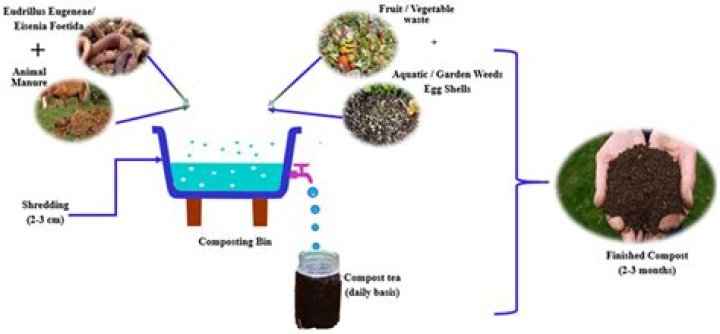 What is better mulch or compost