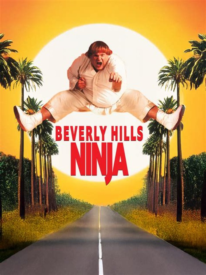 What is Beverly Hills Ninja rated