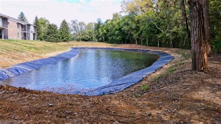 What is biological pond