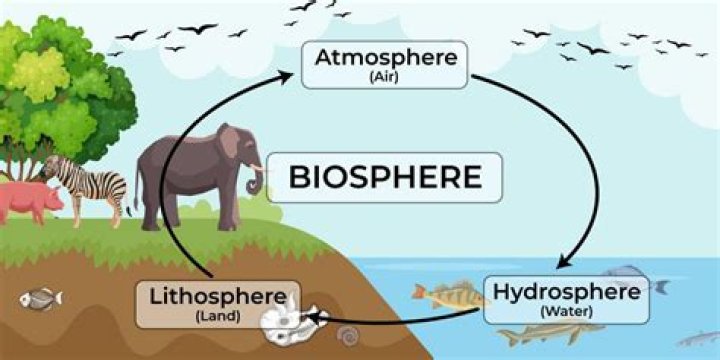What is biosphere in biology