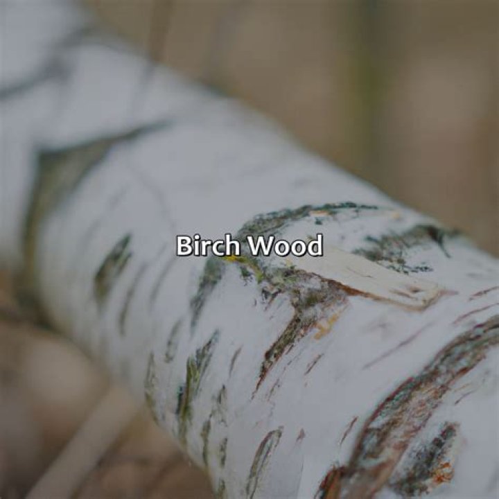 What is Birch Funk used for