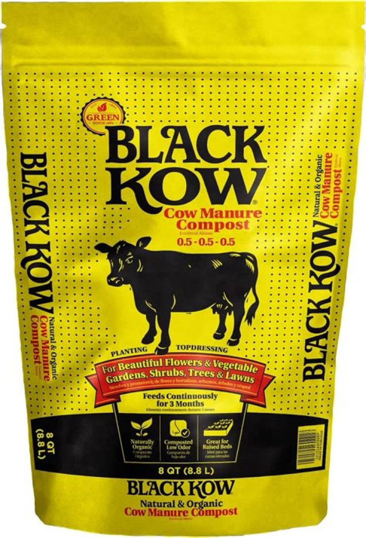 What is black cow manure