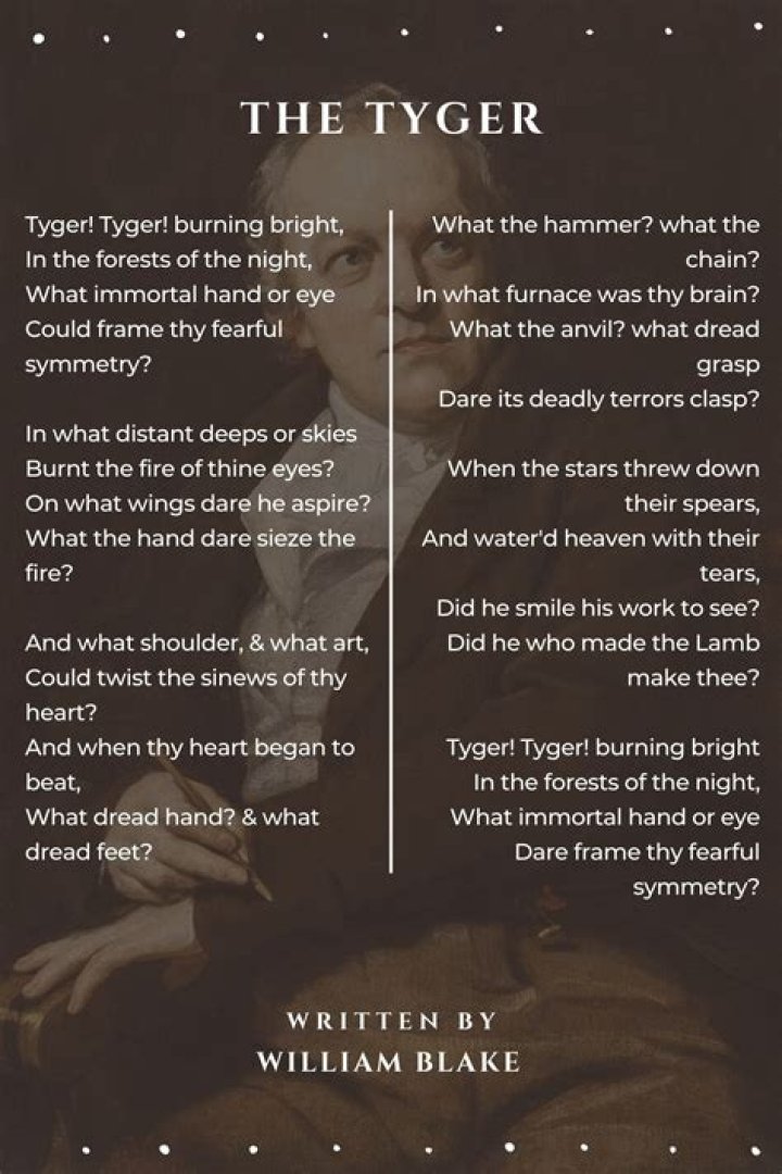 What is Blake trying to represent in the Lamb and the Tyger