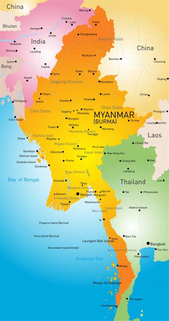 What is Burma wood