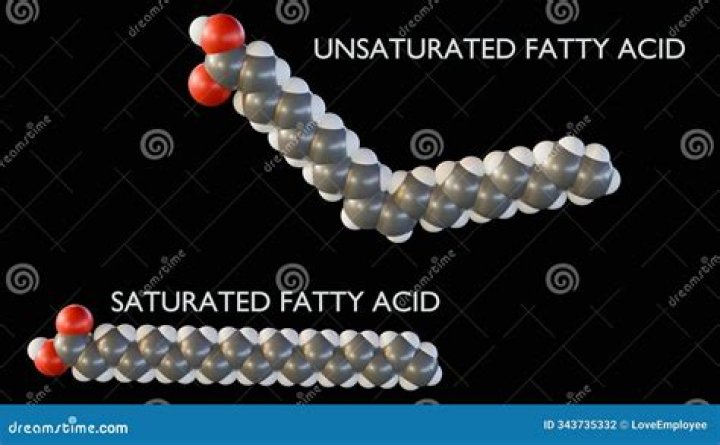 What is c18 fatty acid