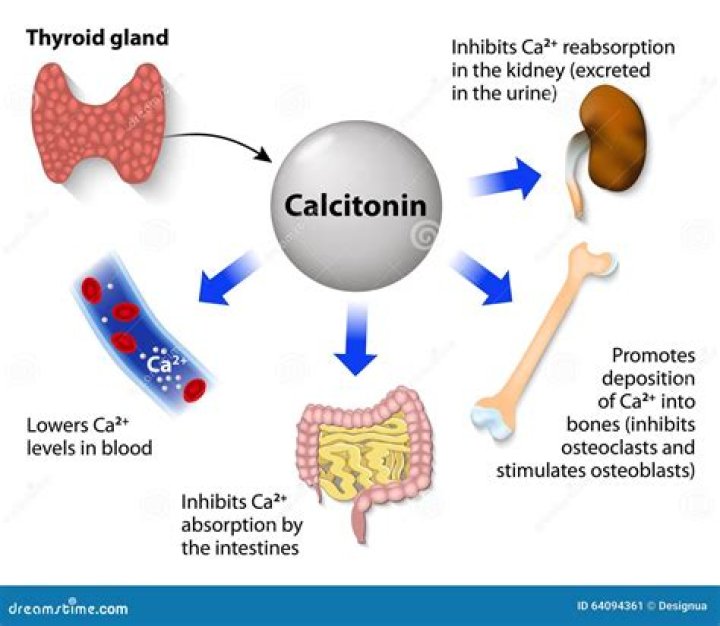 What is Calcimine used for