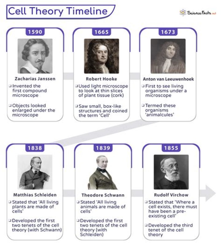 What is cell theory timeline
