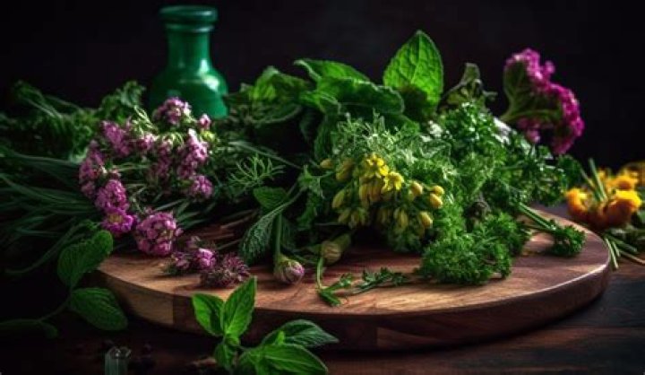 What is Cerasee herb good for