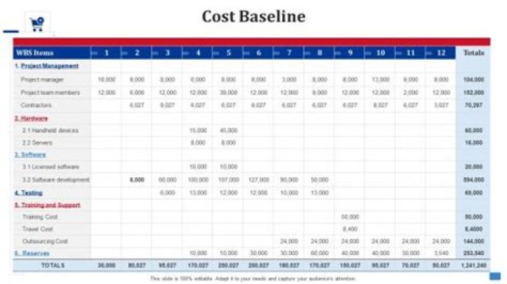 What is cost baseline with example