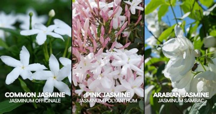 What is createSpy Jasmine