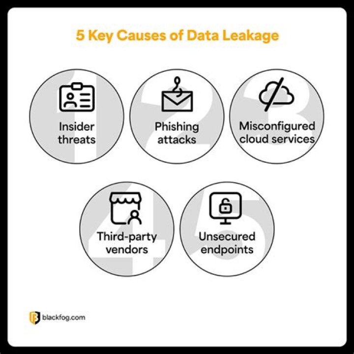 What is data leakage How will you detect and prevent it