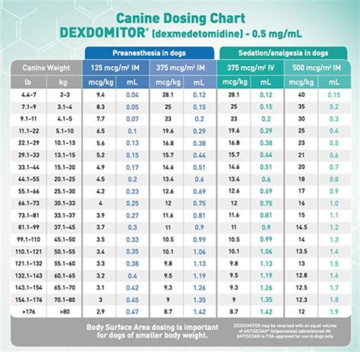 What is Dexdomitor used for in dogs