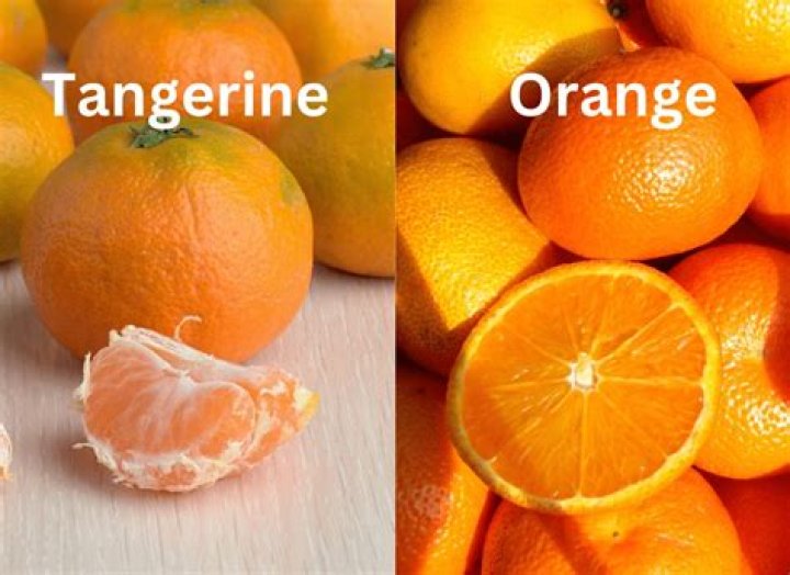 What is difference between Mandarin and tangerine