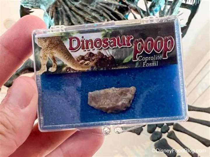 What is dinosaur poop worth
