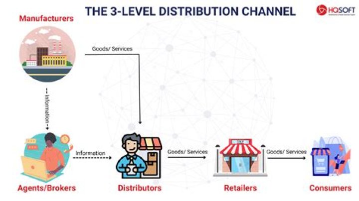 What is distribution in media