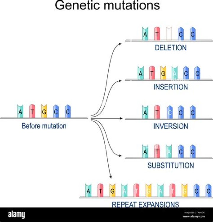 What is DNA mutagenesis