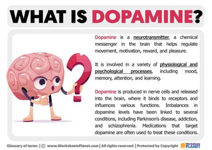 What is dopamine responsible