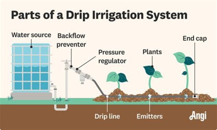 What is drip irrigation technique