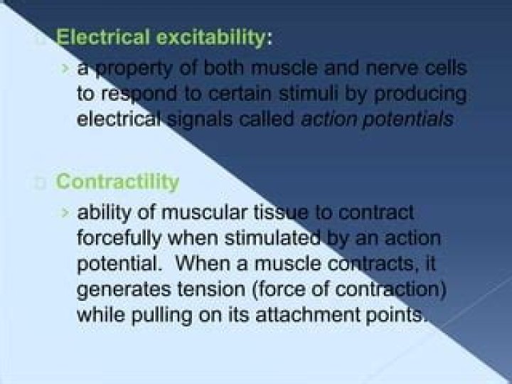 What is electrical excitability
