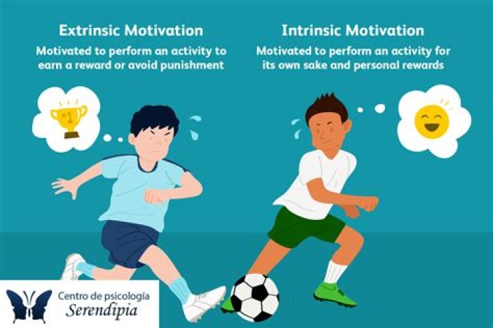 What is extrinsic motivation sport