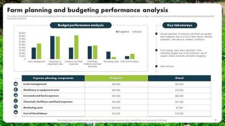 What is farm budgeting and planning