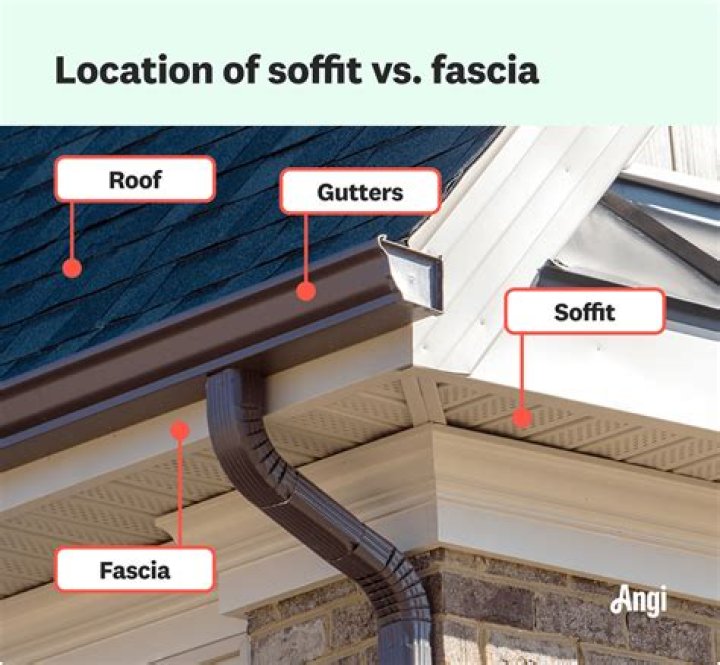 What is fascia and what is its function