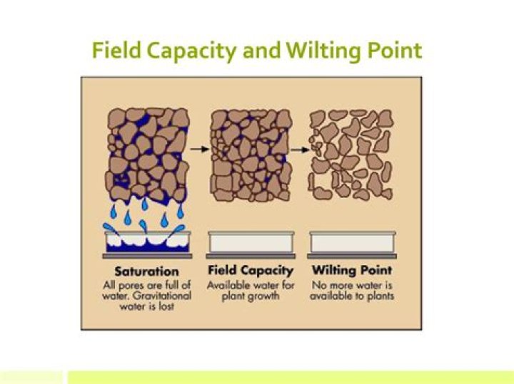 What is field capacity and permanent wilting point