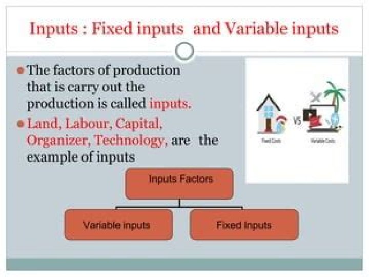 What is fixed input and variable input in economics