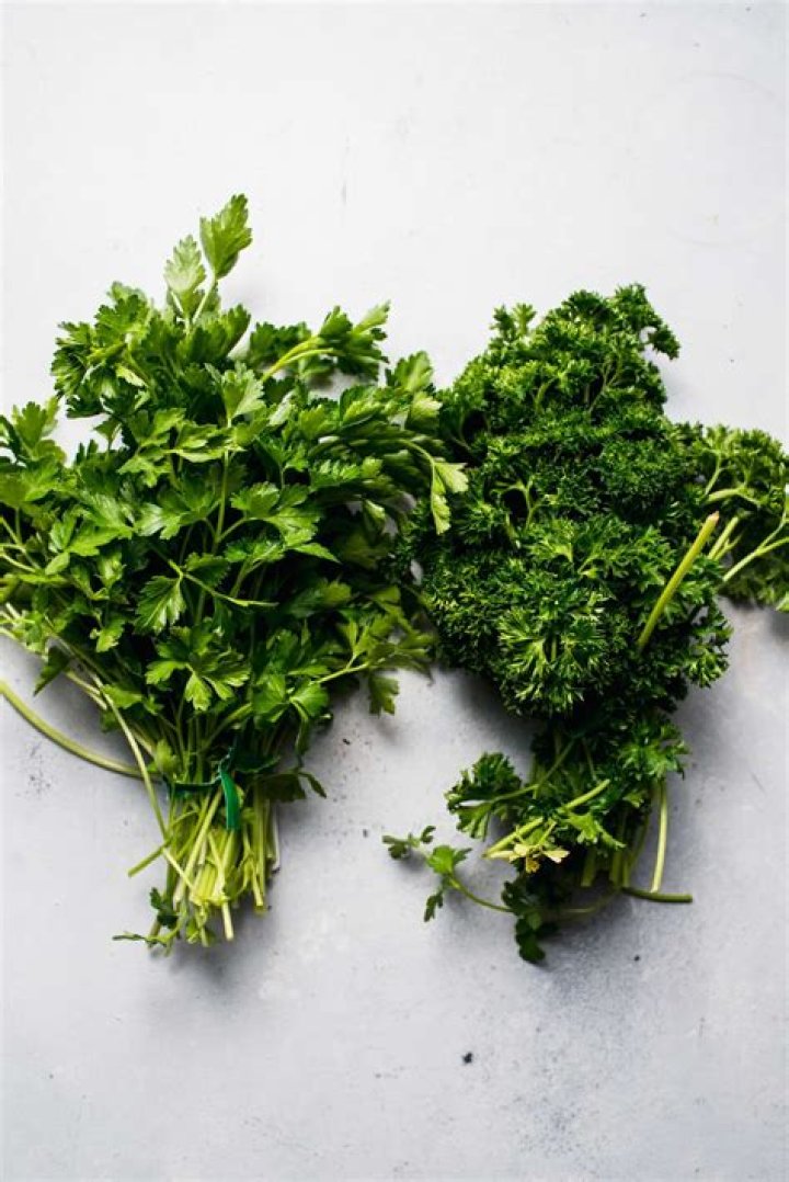 What is flat leaf parsley