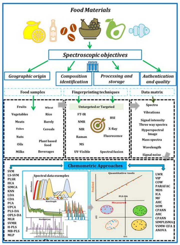 What is food chemistry and analysis