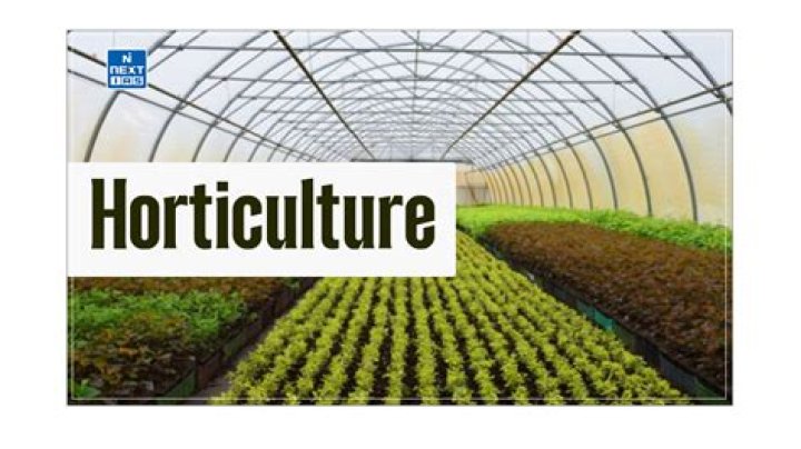 What is horticulture in simple words