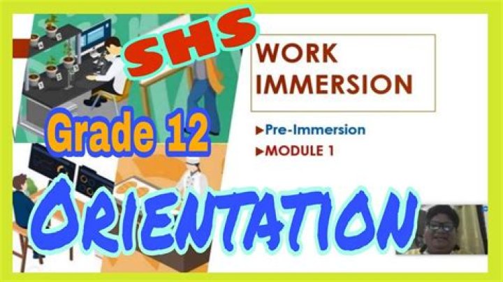 What is immersion program in k12