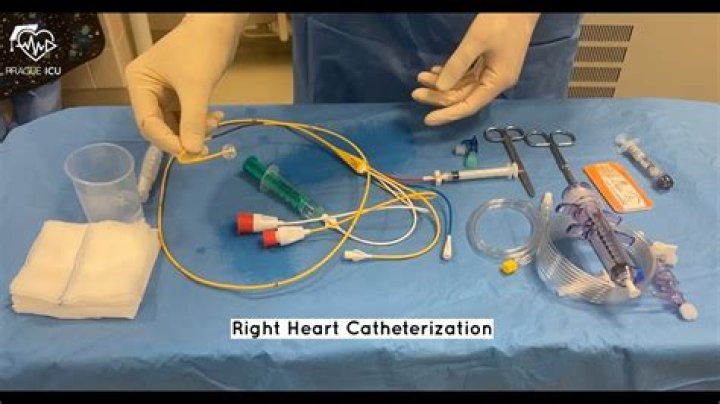 What is included in a left heart cath