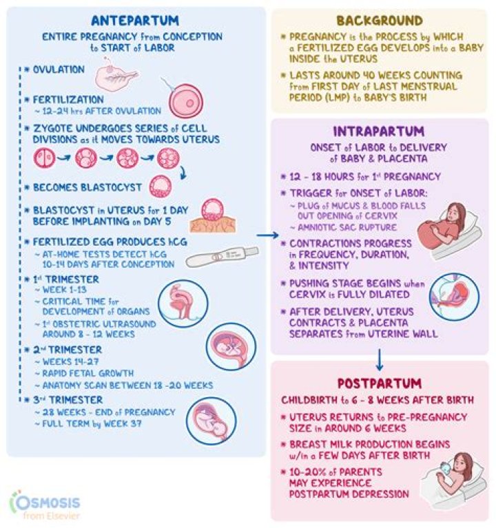 What is included in antepartum care
