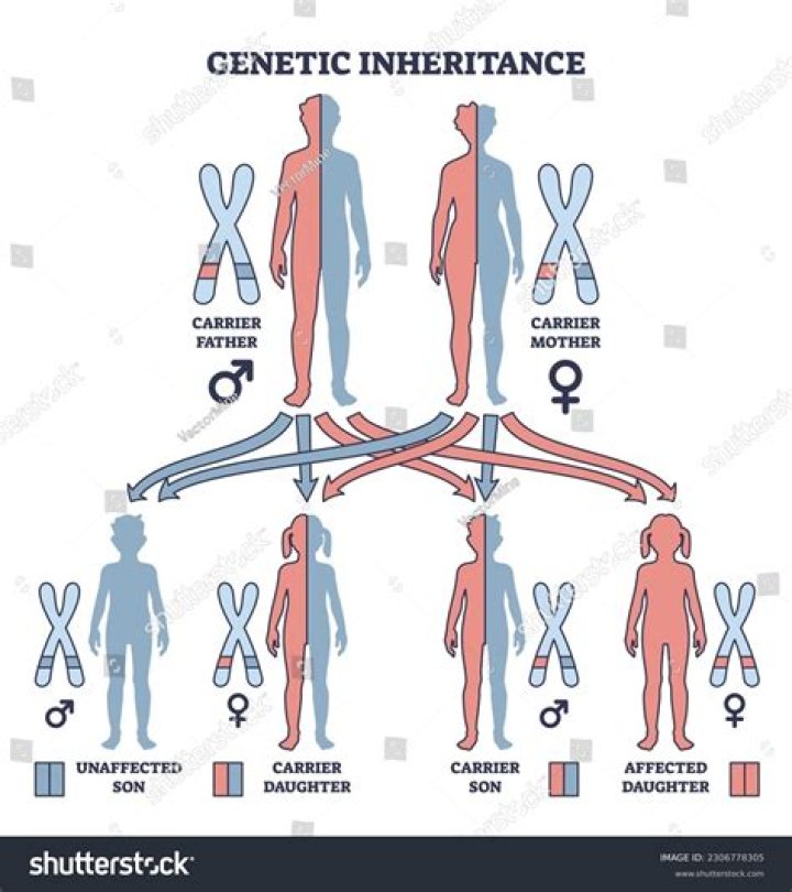 What is inheritable genetic variation