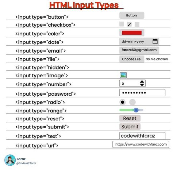 What is input tag