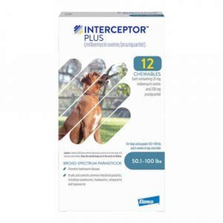 What is interceptor plus for