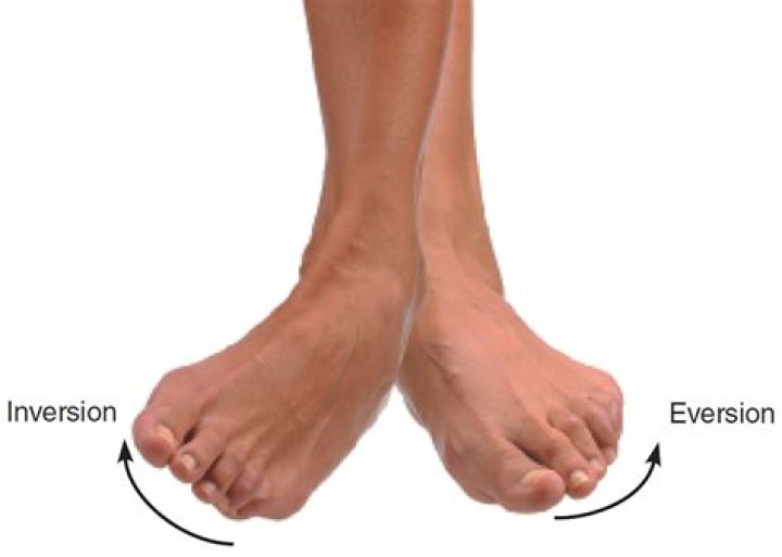 What is inversion and eversion of the foot