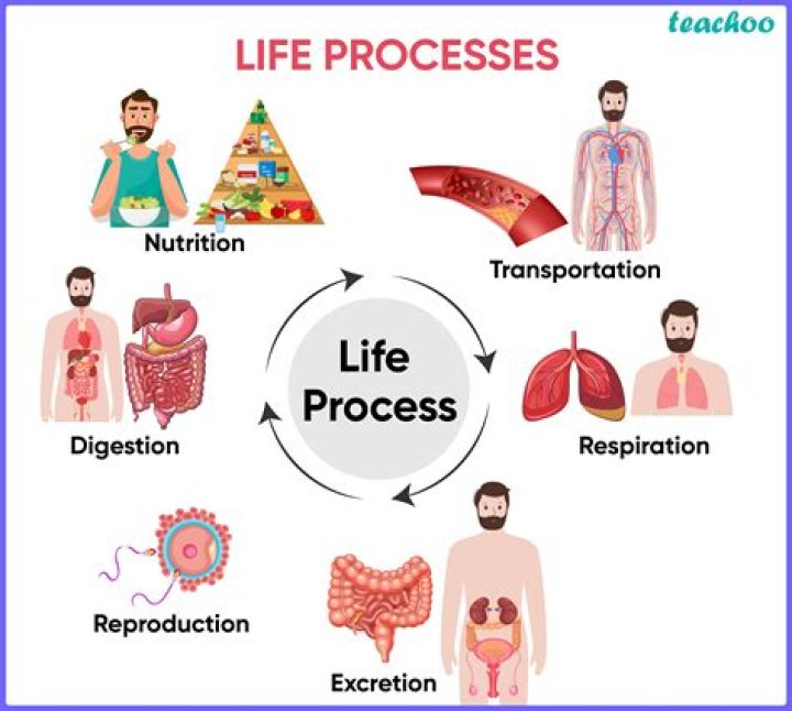 What is life process in bio