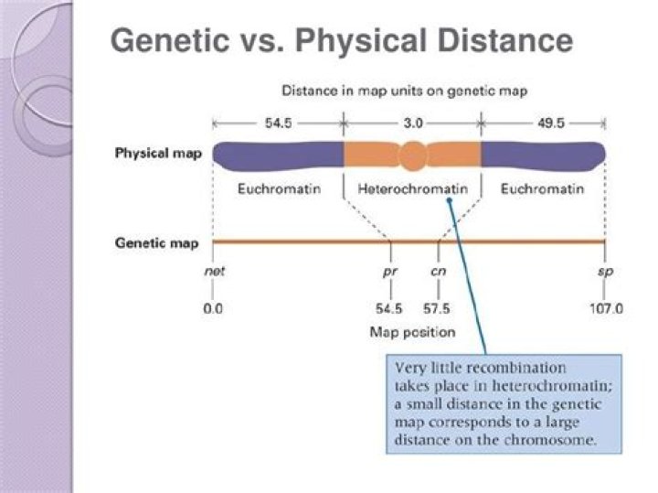 What is map distance in genetics