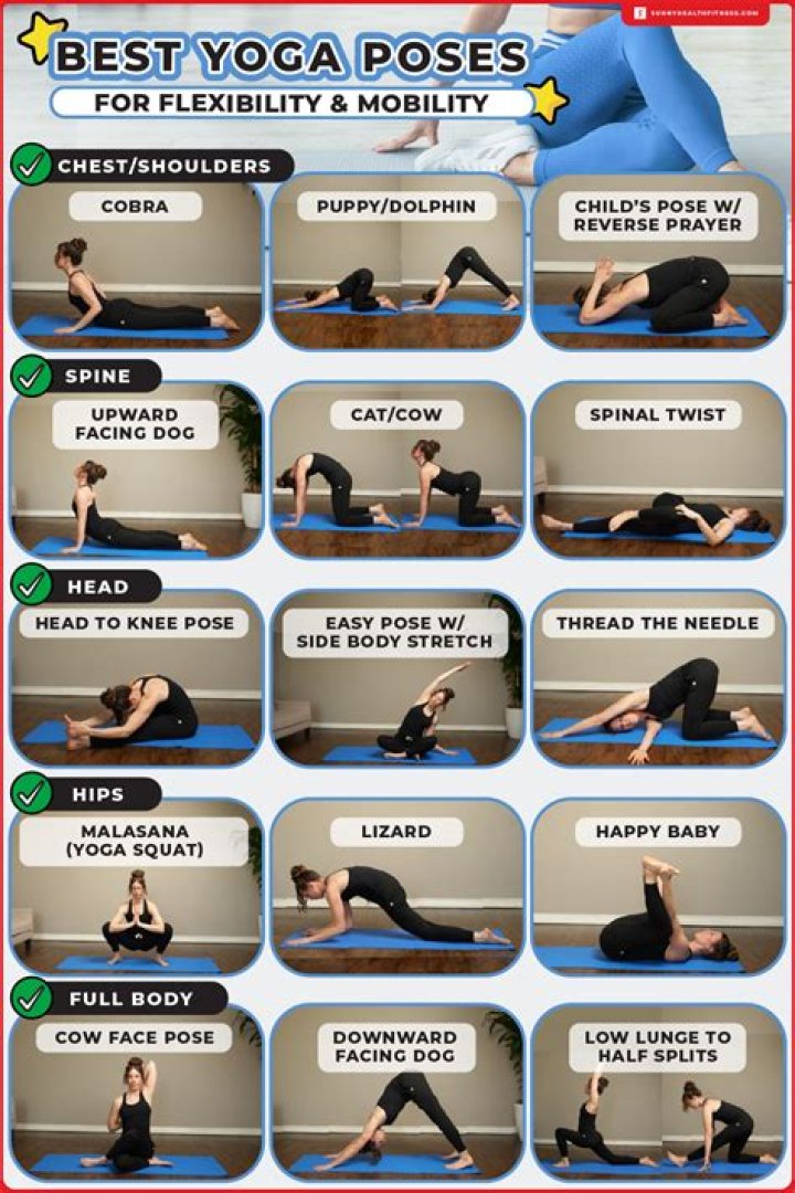 What is mean by flexibility write types of flexibility