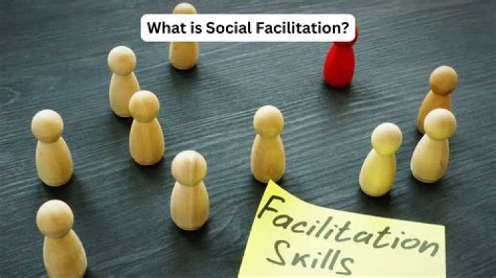 What is meant by social facilitation